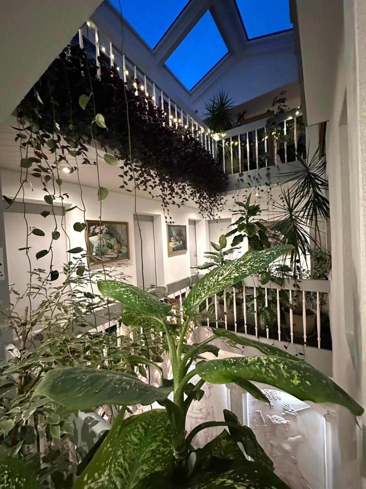 Villa Helvetia Târgu-Mureş 外观 照片