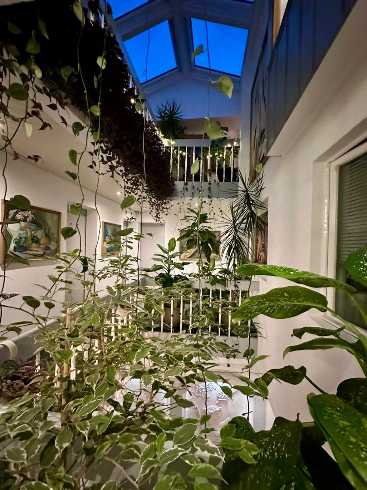 Villa Helvetia Târgu-Mureş 外观 照片
