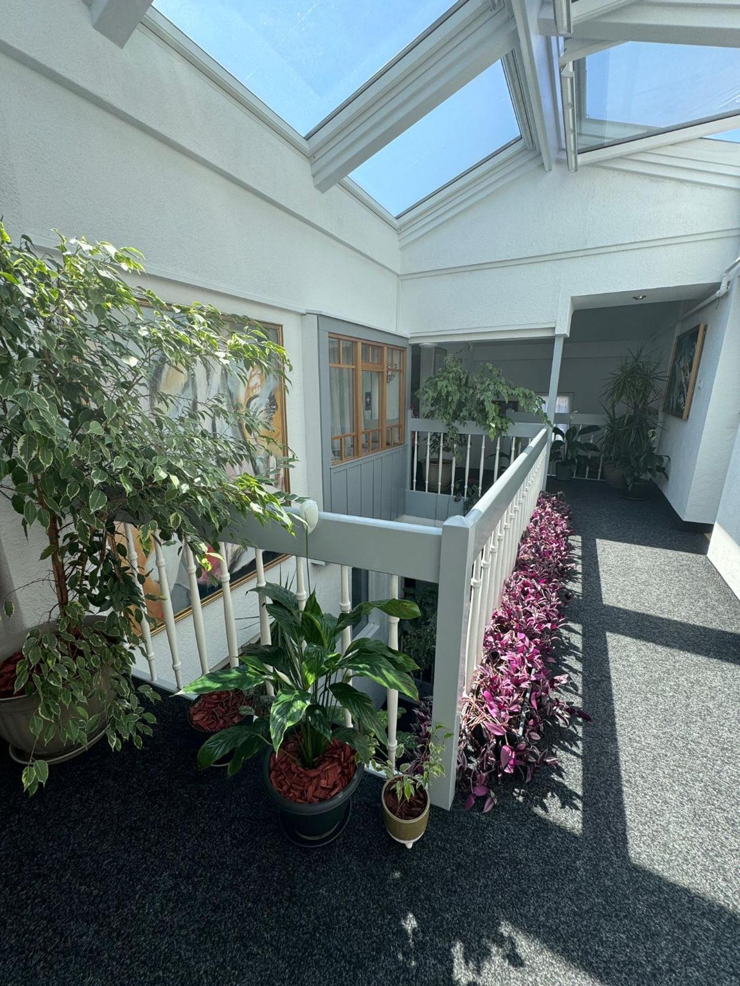 Villa Helvetia Târgu-Mureş 外观 照片