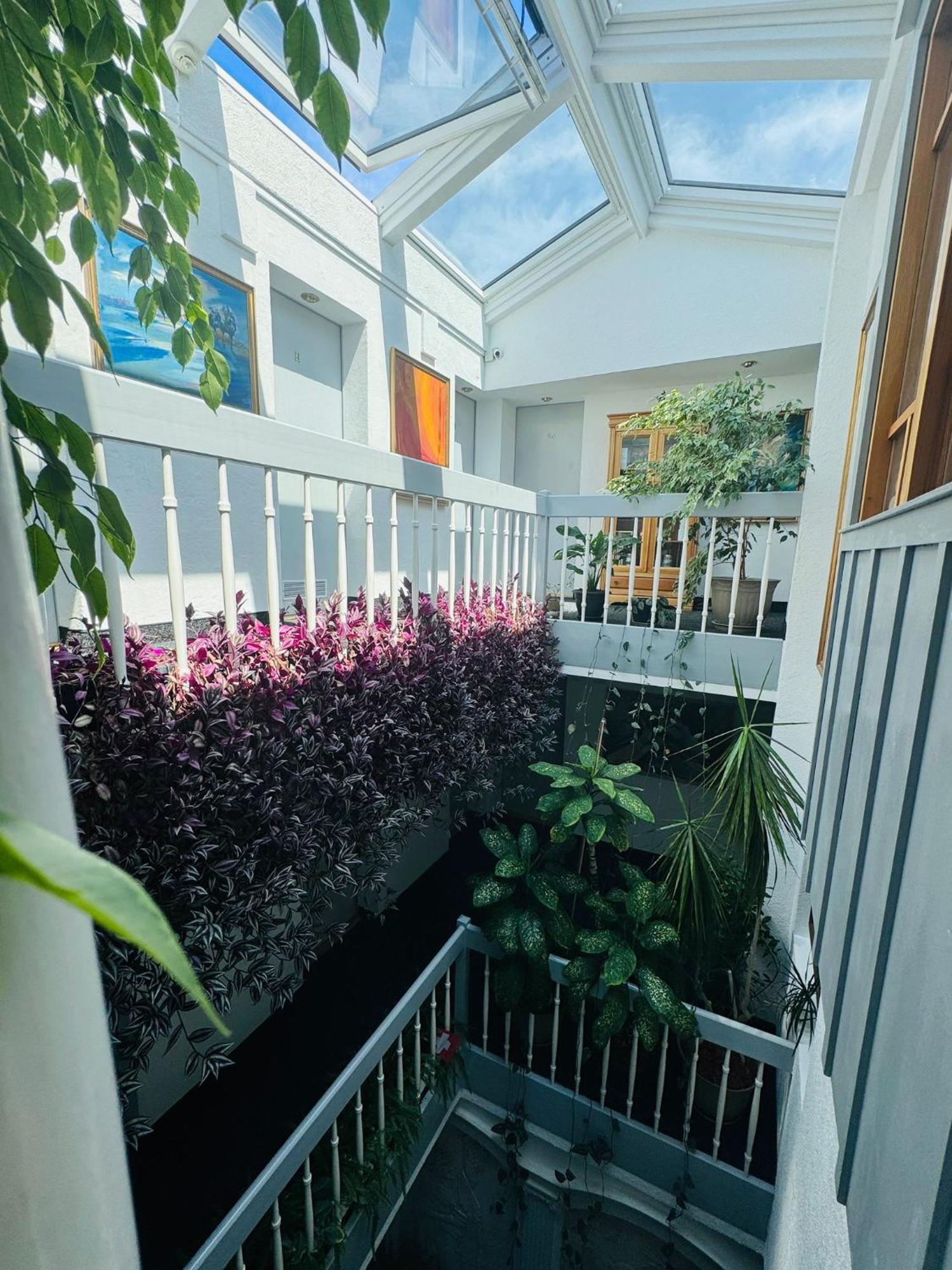 Villa Helvetia Târgu-Mureş 外观 照片